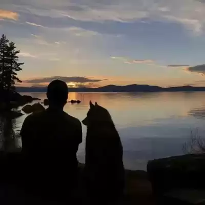 卢浅伽